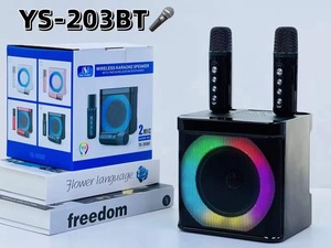 YS203-BT tất cả trong một bên gia đình ngoài trời Micro đôi vũ khí ma thuật Micro không dây Micro <span class=keywords><strong>Bluetooth</strong></span> Stereo - Product Image 6