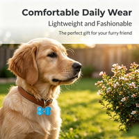Etiquetas NFC para Mascotas y Etiquetas RFID para Perros con Diseño Mini, Marco Metálico Impermeable para Todas las Tallas de Mascotas