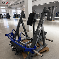 Máquina de remo de espalda con placas de acero para entrenamiento de fuerza y fitness de la parte superior del cuerpo