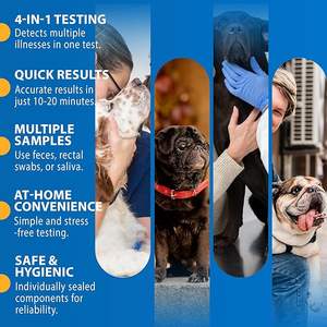 Canine/Dog HealthCheck 4-in-1 Test Kit Screening of Common Canine Illnesses Quick and Easy <strong>At</strong>-<strong>Home</strong> <strong>Testing</strong> - Product Image 3