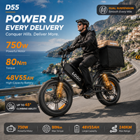 Vélo cargo électrique D55 750W 48V55Ah E-MTB Pneus larges 20 pouces Autonomie 240 km Vélo de livraison OEM Vente en gros