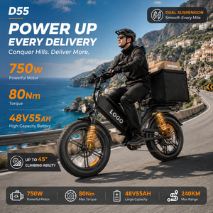 Bicicleta Eléctrica de Carga D55, 750W, 48V55Ah, E-MTB, Neumático Grueso de 20'', 240km de Autonomía, Bicicleta de Reparto OEM, Venta al Por Mayor - Product Image 1