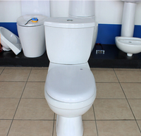 Salle de bain moderne, plomberie, articles sanitaires, deux pièces, fabrication d'usine de toilettes, divers produits modernes