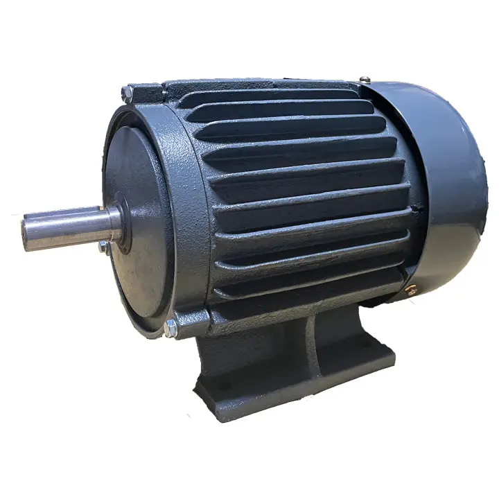 Factory Direct Sell High Quality Vegetable Cutting Machine Chopper Motor With Cast Iron Housing
