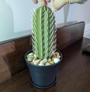 Caja para Palillos de Dientes con Diseño de Cactus Impreso en 3D, Simulación de Maceta, AMA Transfronterizo - Product Image 3