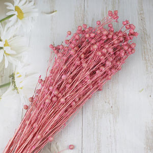 Flores decorativas, suministro de floristería, Frijol de Acacia, semilla de lino en conserva seca, ramo de frutas, ramo de Linum, frijol de lino, fruta - Product Image 3