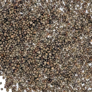 Fornitura Diretta dalla Fabbrica di Semi di Perilla Puri Essiccati e Fritti per Tisane e Snack Salutari Quotidiani - Product Image 1