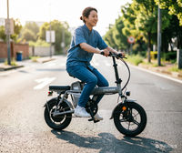 Bicicleta Eléctrica Plegable H10 de Litio, Estilo Clásico con Diseño Innovador, Disfruta de Cada Paseo