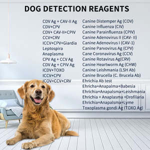 Equipo veterinario para animales Kit de prueba de enfermedades infecciosas FIV Ab/FeLV Ag <span class=keywords><strong>Speed</strong></span> Felv Fiv Fcov <span class=keywords><strong>Cat</strong></span> Kits de prueba rápida - Product Image 5