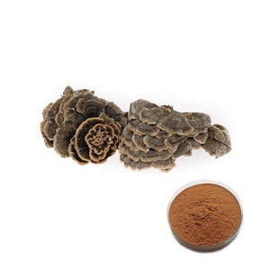 Ganoherb usda אורגני מוסמך זנב פטריות תמצית אבקת coriolus versicolus yunzhi תוספי צמחים oem אספקת מים - Product Image 1