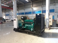 Geräuscharmer Stromgenerator Biogas Erdgas 24V DC Elektrostart Hocheffizient für Industrielle Nutzung Automatischer Start Erdgasgenerator