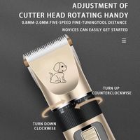 Tondeuse Électrique Sans Fil Professionnelle OEM à Lame Épaisse pour Poils d'Animaux, Rechargeable et Rapide, pour Toilettage de Chiens