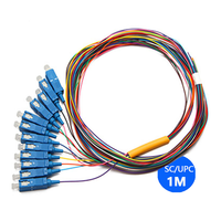 Factory Direct Price 12-Core 0.9mm SC/UPC/APC Single Mode Fibre Bundle Pigtail 1M Available Fibre Optic Patch Cord