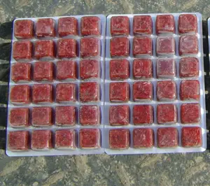 하이 퀄리티 냉동 bloodworm 냉동 붉은 벌레 붉은 선충류 웜 판매 냉동 생선 식품