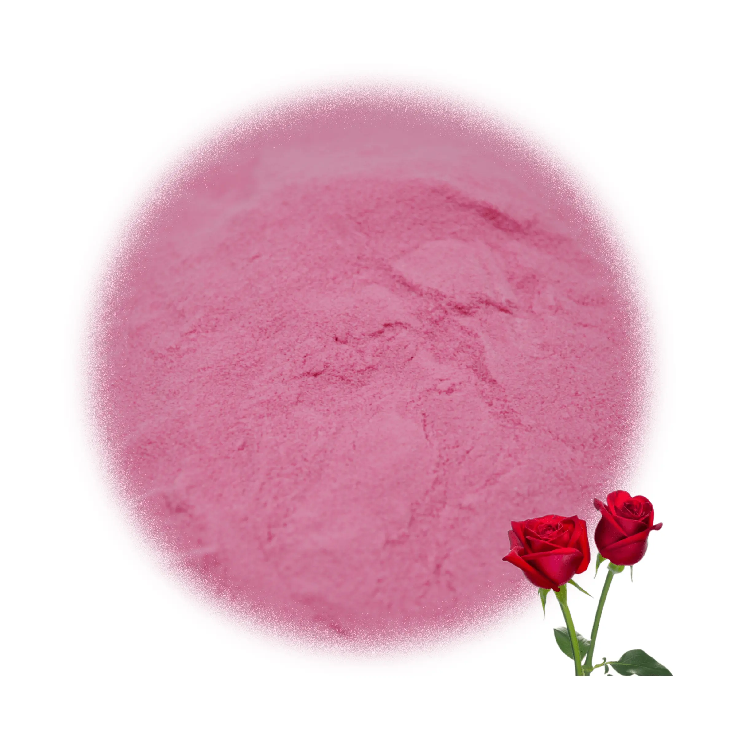 Flower Extract Wholesale Rose Flower Powder Factory Supply Food Coloring Rose Flower Powder