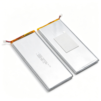 Batterie LiPo grande capacité 10000mAh, cellule 7065152lp 3.7V, batteries Li-ion 37Wh