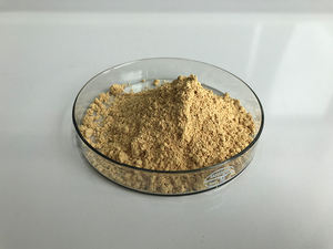 Fábrica preço competitivo 10% kaempferol pó kaempferol - Product Image 4