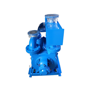 BOYUAN 전기 SK 시리즈 산업용 고압 액체 링 진공 펌프 OEM 맞춤형 저소음 에너지 절약 - Product Image 5