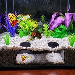 Aquarium Tunnel Decorations Black And White ABS Modular Hiding House For Fish And Shrimp Underground Hidden Tunnels - Product Image 1