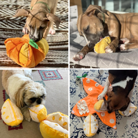 Jouet interactif pour chien en peluche Orange, jeu de cache-cache, puzzle tangerine, jouet sonore pour chiot