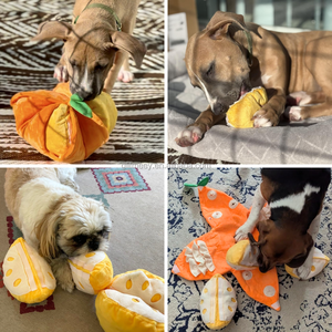Jouet interactif pour chien en peluche Orange, jeu de <span class=keywords><strong>cache</strong></span>-<span class=keywords><strong>cache</strong></span>, puzzle tangerine, jouet sonore pour chiot - Product Image 6