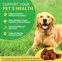 Friandises Probiotiques pour Chiens Marque Blanche OEM – Compléments Nutritionnels pour Animaux – Friandises Tendres Probiotiques pour Chiens – Santé Digestive et Immunitaire