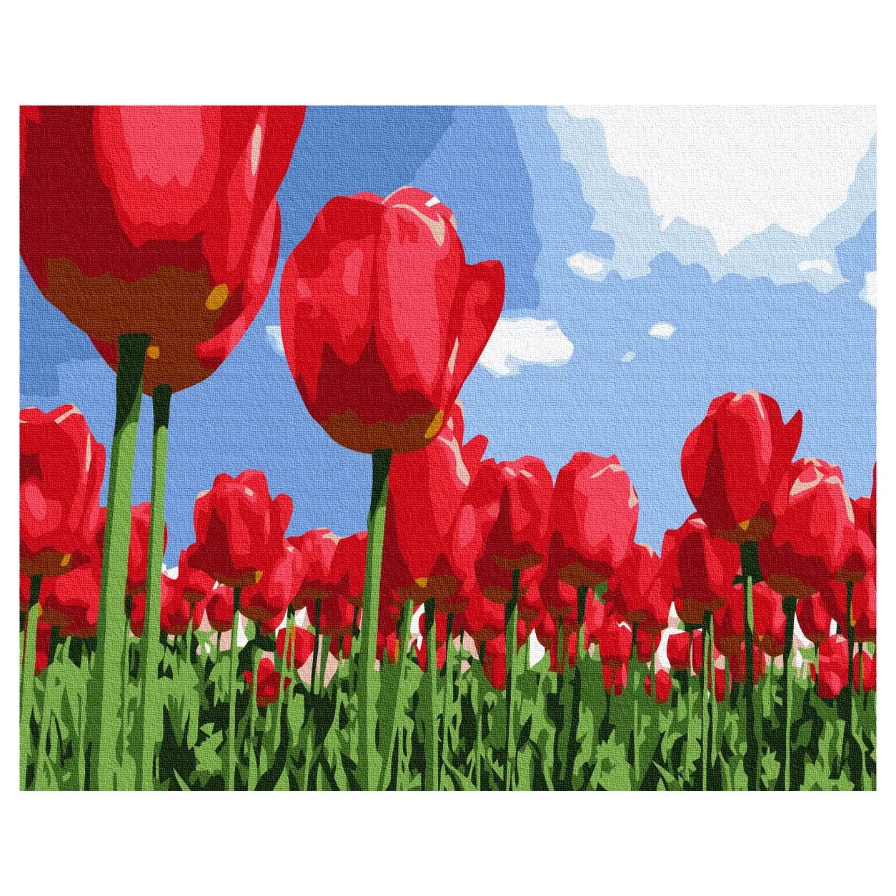 Pintura chico G195 de tulipán rojo aceite de la flor pintura 40x50 cm flor pintura por número de vida pintura decorativa