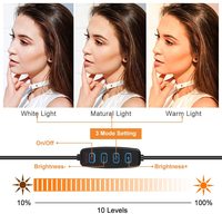 Vente Flash Anneaux Lumineux Selfie 10 Pouces avec Trépied, Bâton Selfie Vidéo, Lampe LED Anneau Fonctionnant sur Piles, Luz Ring Light