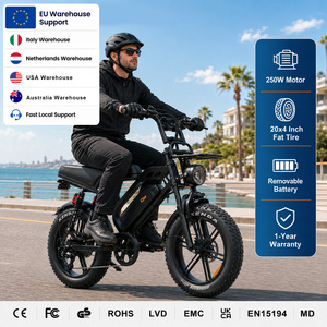 QMHEEL V20Limited 48V Electric City Bike Lithium <b>Battery</b> bicicletta elettrica electric bike Italy B2B Wholesale Export - Product Image 1