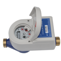 Compteur d'eau sans fil LoRaWAN à lecture à distance OEM personnalisable