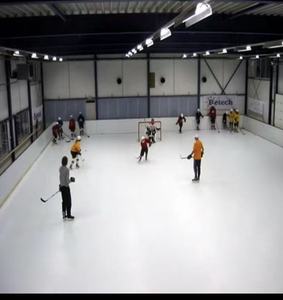 <span class=keywords><strong>Glace</strong></span> synthétique UHMWPE pour le hockey sur <span class=keywords><strong>glace</strong></span> et les patins, revêtement de sol intérieur sur mesure pour patinage à roulettes. - Product Image 3