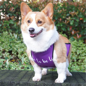 Corgi Belly Bib - Ropa impermeable para mascotas, color verde, para perros pequeños y medianos, uso en verano y en las cuatro estaciones - Product Image 2