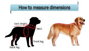 Manteau de Pluie Réfléchissant de Luxe <span class=keywords><strong>Imperméable</strong></span> <span class=keywords><strong>pour</strong></span> Animaux de Compagnie (Chats et Chiens) <span class=keywords><strong>avec</strong></span> Quatre <span class=keywords><strong>Pattes</strong></span> Couvertes, Style Moderne de Haute Qualité et Conception de Trou de Ceinture Dissimulé - Product Image 2