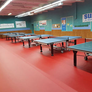 Suelo deportivo de plástico de pvc para interior, pista de tenis de mesa, vinilo - Product Image 1