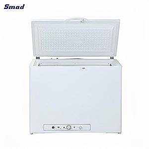 Congelador Horizontal Eléctrico/a Gas de 160L para el Hogar, Modelo DSG-160B1 - Product Image 2