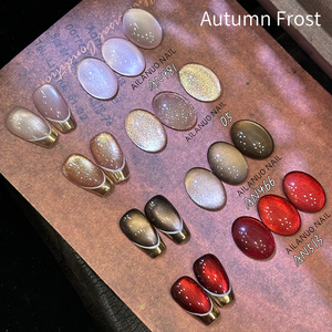 AILANUO 4 Colors New Wholesale Moonlight Ceramic Fantasy Cat Eye <b>Gel</b> Polish <b>Kit</b> Manufacturer Cat Eye <b>Gel</b> <b>Nail</b> Polish Set - Product Image 1