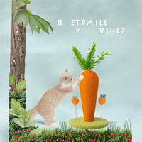 Mignon grattoir pour chat en forme de carotte et structure d'escalade en sisal, protecteur de meubles pour décorations de Noël et d'Halloween