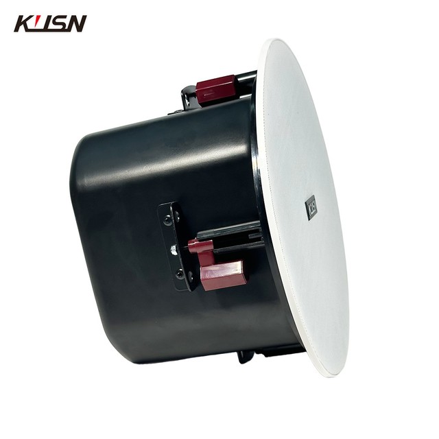 OEM/ODM 8 Inch Coaxial Ceiling Speaker Powered Professional in Ceiling Speakers for Conference