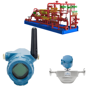 Transmetteur totalisateur sans fil 705, débitmètre Coriolis Motion F025S et module de commutation - Product Image 5