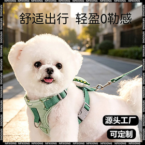 Small <b>dog</b> <b>leash</b>, harness, vest-style <b>leash</b> for Teddy <b>dogs</b> and Bichon Frises. - Product Image 2