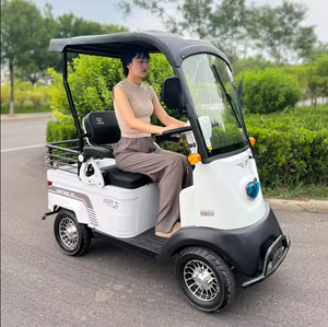 Voitures de golf miniatures à prix de gros, 2 places, faciles à utiliser pour les personnes handicapées et les personnes âgées, prix bas - Product Image 3