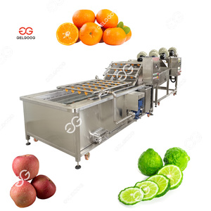 Offre Spéciale commercial brosse pomme nettoyage laveuse sécheuse Machine pièces de rechange pommes nettoyage et classement Machine - Product Image 6