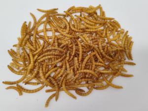 איכות גבוהה במיקרוגל מיובשות תזונה גבוהה וחלבון יבש עבור ציפורים - Product Image 5