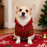 Costume de Noël pour chien, sweat à capuche en tricot de renne, pull d'hiver pour animaux de compagnie, tenue de fête de Noël pour petits chiens XXS-XXXL