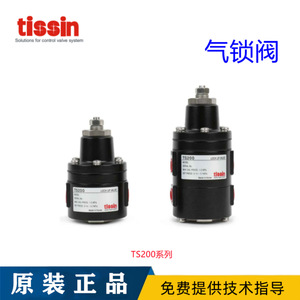 Válvula de Retención de Aire TS200 Coreana Tessen, Válvula de Cierre TS200SNS con Control Eléctrico y Estructura Angular para Alta Presión de Gas, TS200DNS, TS205, TS210, TS215 - Product Image 3