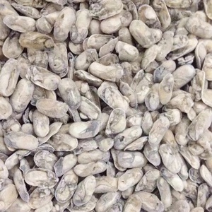 Congelados oyster <span class=keywords><strong>carne</strong></span> fresca oyster venta oyster congelados - Product Image 4