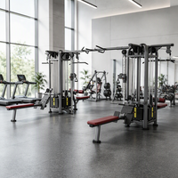 Appareil de musculation commercial multifonctionnel pour tractions assistées, dips et entraînement de force, idéal pour les clubs de fitness et la musculation