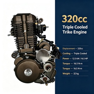 Conjunto <span class=keywords><strong>de</strong></span> <span class=keywords><strong>Motor</strong></span> <span class=keywords><strong>de</strong></span> 320cc, 4 Tiempos, CDI, Refrigerado por Agua, para Triciclo <span class=keywords><strong>de</strong></span> Tres Ruedas, OEM, Nuevo, Directo <span class=keywords><strong>de</strong></span> Fábrica - Product Image 4