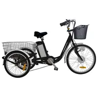 Vélo électrique avec batterie au lithium pour adulte, tricycle électrique de 24 pouces, 250W, 3 roues, cargo