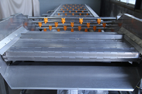 Continue bubbelwasmachine voor groenten en fruit, multifunctionele verwerkingsapparatuur